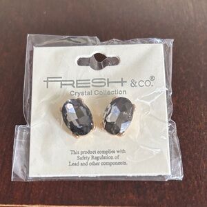 Fresh & Co. Black Crystal Earrings with Gold Accents
